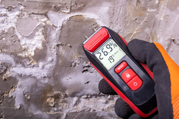 Professional Mold Removal in Airmont, NY